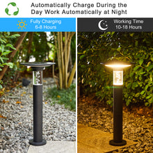 Cargar imagen en el visor de la galería, Solar Lawn Light With Dimmable LED