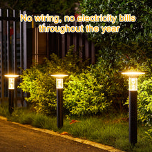 Cargar imagen en el visor de la galería, Solar Lawn Light With Dimmable LED