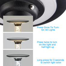 Cargar imagen en el visor de la galería, Solar Lawn Light With Dimmable LED