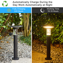 Load image into Gallery viewer, Solar Lawn Light With Dimmable LED
