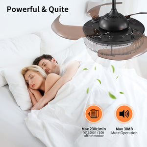 Modern Style Black Telescopic Ceiling Fan Light Remote Control Silent Reversible Ceiling Fan LED Recessed Pendant Light