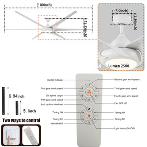 100" White Simple ABS Material 6-blade Ceiling Fan Light