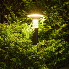 Load image into Gallery viewer, Solar Lawn Light With Dimmable LED
