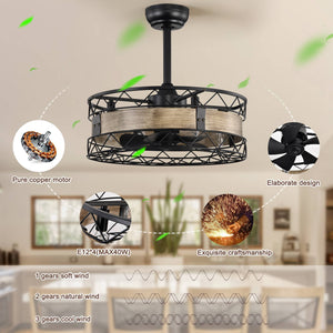 20.5" Caged Ceiling Fan 5 ABS Blades with  Remote Control,Timer, 3 Speeds Indoor Ceiling Fan for (No include Bulbs)