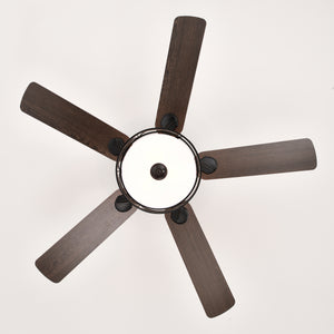 52" Modern Ceiling Fan with Dual Finish Reversible Blades, Fandelier-Matte Black